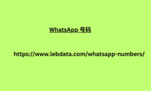 WhatsApp 号码