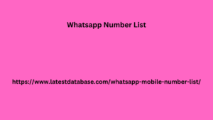 Whatsapp Number List