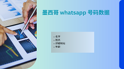 墨西哥 whatsapp 号码数据