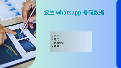 波兰 whatsapp 号码数据